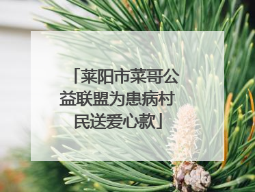 莱阳市菜哥公益联盟为患病村民送爱心款