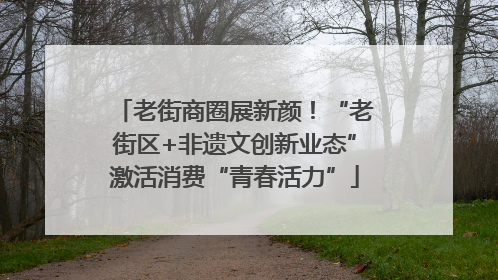 老街商圈展新颜！“老街区+非遗文创新业态”激活消费“青春活力”