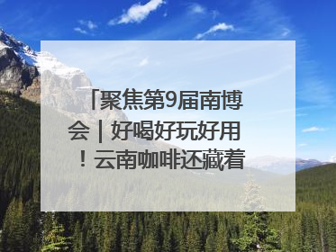 聚焦第9届南博会｜好喝好玩好用！云南咖啡还藏着多少惊喜？