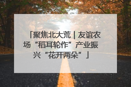 聚焦北大荒｜友谊农场“稻耳轮作”产业振兴“花开两朵”