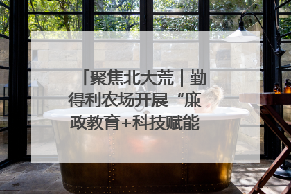 聚焦北大荒｜勤得利农场开展“廉政教育+科技赋能”主题党日活动