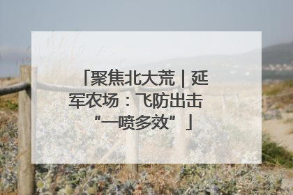 聚焦北大荒｜延军农场：飞防出击 “一喷多效”