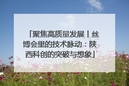 聚焦高质量发展丨丝博会里的技术脉动：陕西科创的突破与想象