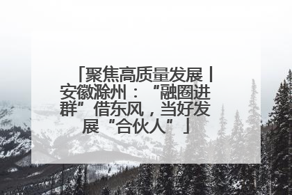 聚焦高质量发展丨安徽滁州：“融圈进群”借东风，当好发展“合伙人”