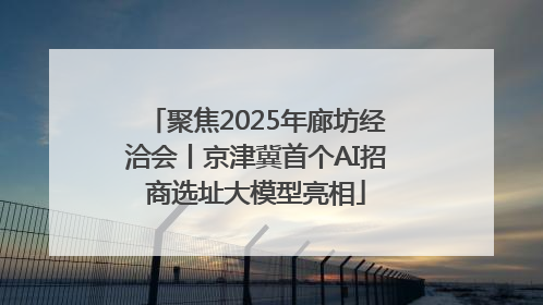 聚焦2025年廊坊经洽会丨京津冀首个AI招商选址大模型亮相