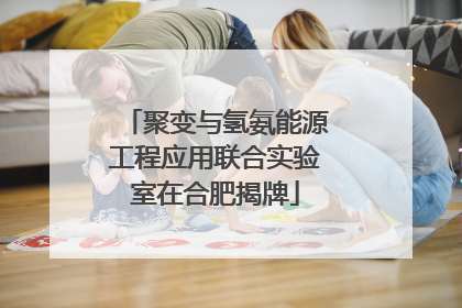 聚变与氢氨能源工程应用联合实验室在合肥揭牌