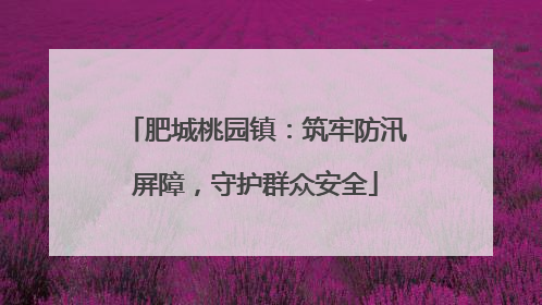 肥城桃园镇：筑牢防汛屏障，守护群众安全