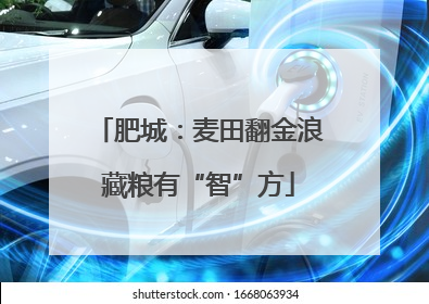 肥城：麦田翻金浪藏粮有“智”方