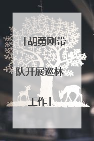 胡勇刚带队开展巡林工作