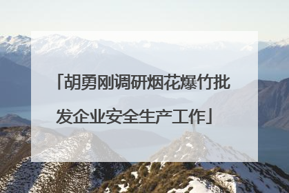 胡勇刚调研烟花爆竹批发企业安全生产工作