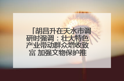 胡昌升在天水市调研时强调：壮大特色产业带动群众增收致富 加强文物保护推动文化创新发展