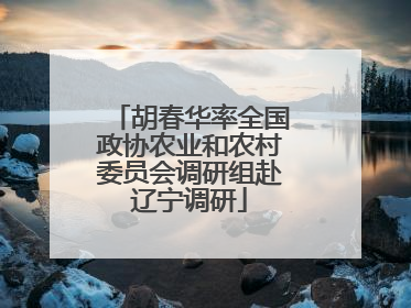 胡春华率全国政协农业和农村委员会调研组赴辽宁调研