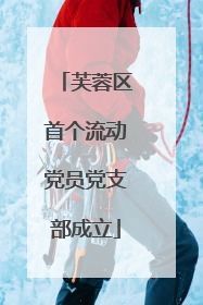 芙蓉区首个流动党员党支部成立