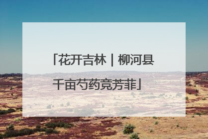 花开吉林｜柳河县千亩芍药竞芳菲