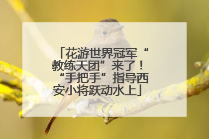 花游世界冠军“教练天团”来了！“手把手”指导西安小将跃动水上