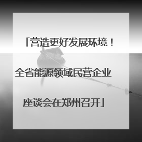 营造更好发展环境！全省能源领域民营企业座谈会在郑州召开