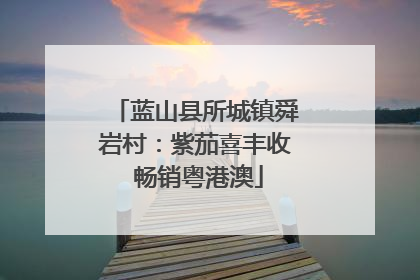 蓝山县所城镇舜岩村：紫茄喜丰收 畅销粤港澳
