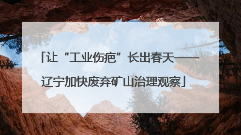 让“工业伤疤”长出春天——辽宁加快废弃矿山治理观察