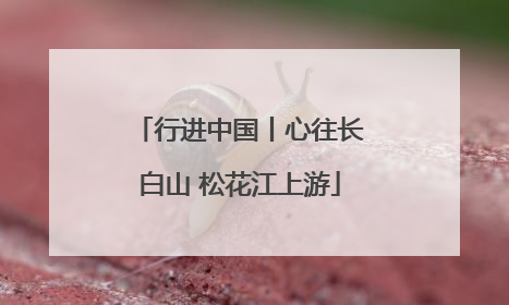 行进中国丨心往长白山 松花江上游