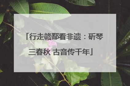 行走赣鄱看非遗：斫琴三春秋 古音传千年