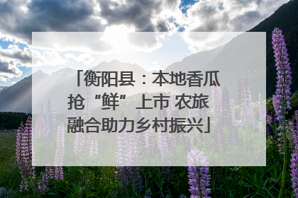 衡阳县：本地香瓜抢“鲜”上市 农旅融合助力乡村振兴