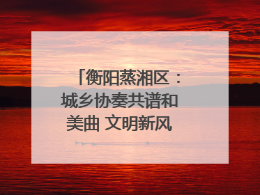 衡阳蒸湘区：城乡协奏共谱和美曲 文明新风劲拂蒸湘地
