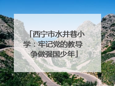 西宁市水井巷小学：牢记党的教导 争做强国少年