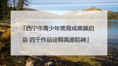 西宁市青少年美育成果展启幕 四千作品诠释高原精神