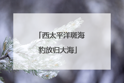 西太平洋斑海豹放归大海