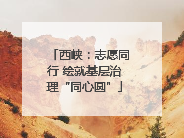 西峡：志愿同行 绘就基层治理“同心圆”