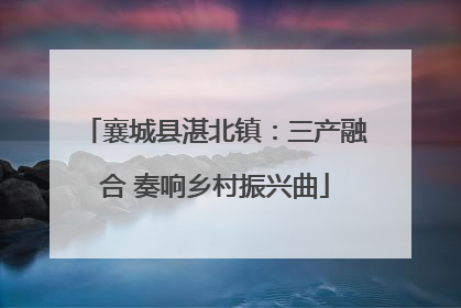 襄城县湛北镇：三产融合 奏响乡村振兴曲