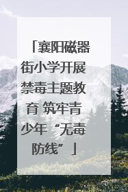 襄阳磁器街小学开展禁毒主题教育 筑牢青少年“无毒防线”