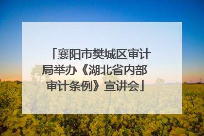 襄阳市樊城区审计局举办《湖北省内部审计条例》宣讲会
