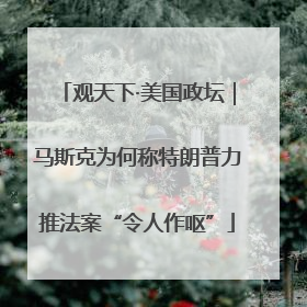 观天下·美国政坛｜马斯克为何称特朗普力推法案“令人作呕”