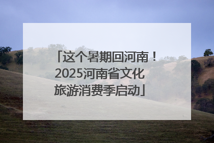 这个暑期回河南！2025河南省文化旅游消费季启动