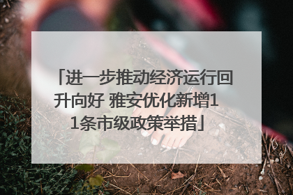 进一步推动经济运行回升向好 雅安优化新增11条市级政策举措