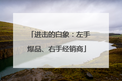 进击的白象：左手爆品、右手经销商