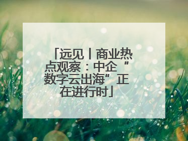 远见丨商业热点观察：中企“数字云出海”正在进行时