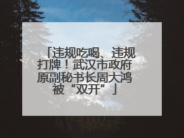 违规吃喝、违规打牌！武汉市政府原副秘书长周大鸿被“双开”