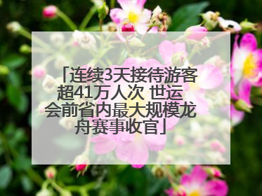 连续3天接待游客超41万人次 世运会前省内最大规模龙舟赛事收官