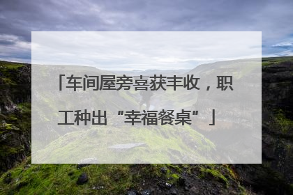 车间屋旁喜获丰收，职工种出“幸福餐桌”