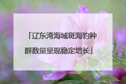 辽东湾海域斑海豹种群数量呈现稳定增长