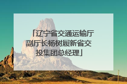 辽宁省交通运输厅副厅长杨树履新省交投集团总经理
