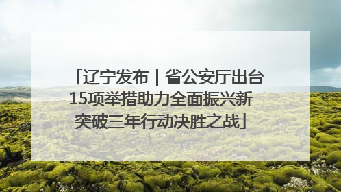 辽宁发布｜省公安厅出台15项举措助力全面振兴新突破三年行动决胜之战