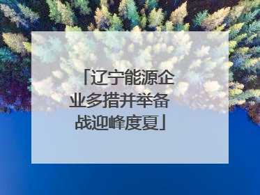 辽宁能源企业多措并举备战迎峰度夏