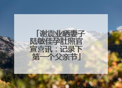 谢震业晒妻子陆敏佳孕肚照官宣喜讯：记录下第一个父亲节