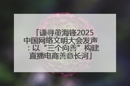 谦寻董海锋2025中国网络文明大会发声：以“三个向善”构建直播电商善意长河
