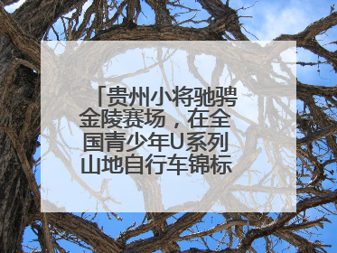 贵州小将驰骋金陵赛场，在全国青少年U系列山地自行车锦标赛中勇夺3金