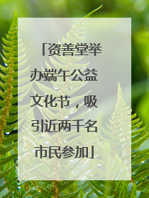 资善堂举办端午公益文化节，吸引近两千名市民参加