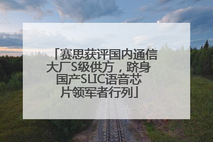 赛思获评国内通信大厂S级供方，跻身国产SLIC语音芯片领军者行列